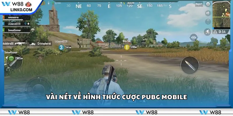 Vài nét về hình thức cược PUBG Mobile