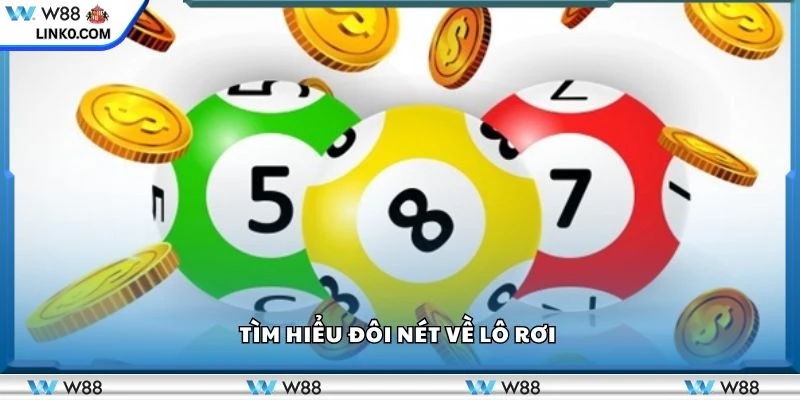 Tìm hiểu đôi nét về lô rơi