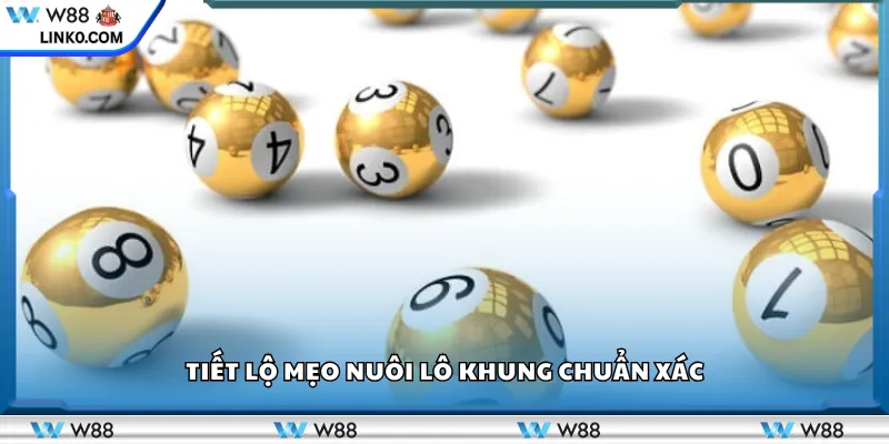 Tiết lộ mẹo nuôi lô khung chuẩn xác